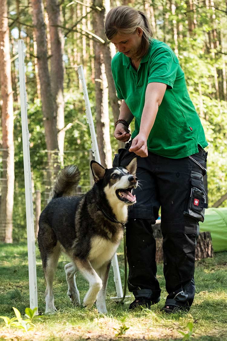 Hundetrainerin Anja Theml